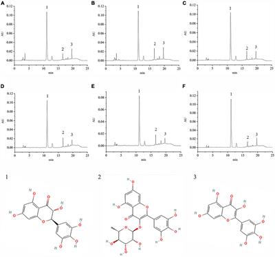 A network pharmacology approach to evaluate the synergistic effect of dihydromyricetin and myricitrin in vine tea on the proliferation of B16F10 cells